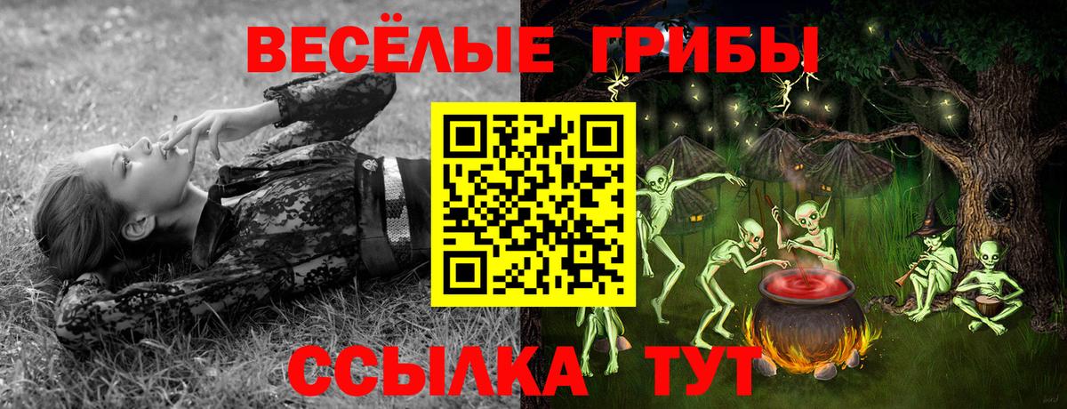 Галлюциногенные грибы MAGIC MUSHROOMS  Вход с VPN  Псилоцибиновые грибы мухоморы  Альметьевск 
